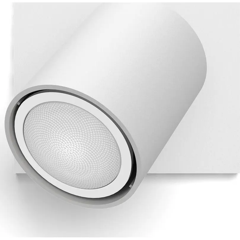 Spot Philips Hue