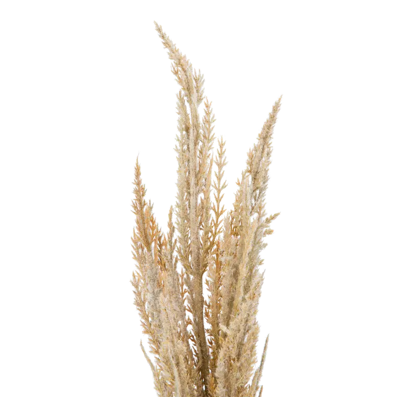 Dekozweig Dried-Grass
