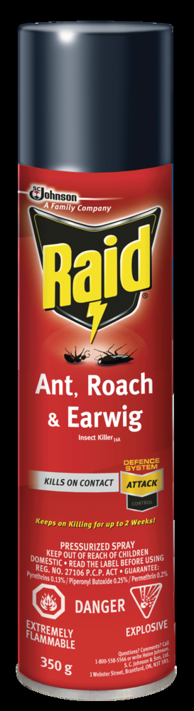 Raid MAX Indoor/Outdoor Ant, Roach, Earwig & Insect Killer, Insecticide Spray, 350-g