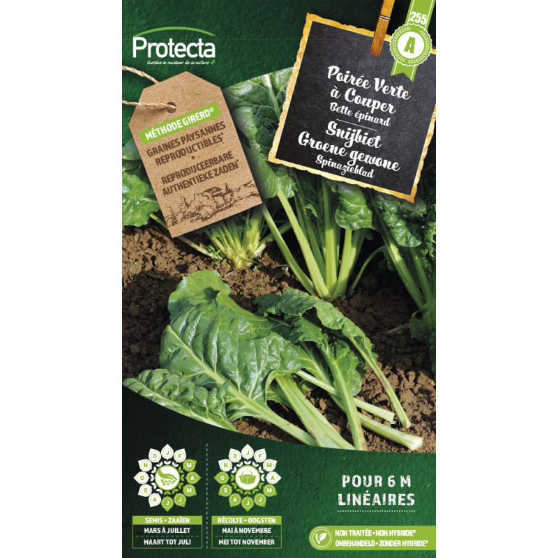 Semences de poirée Verte à couper PROTECTA