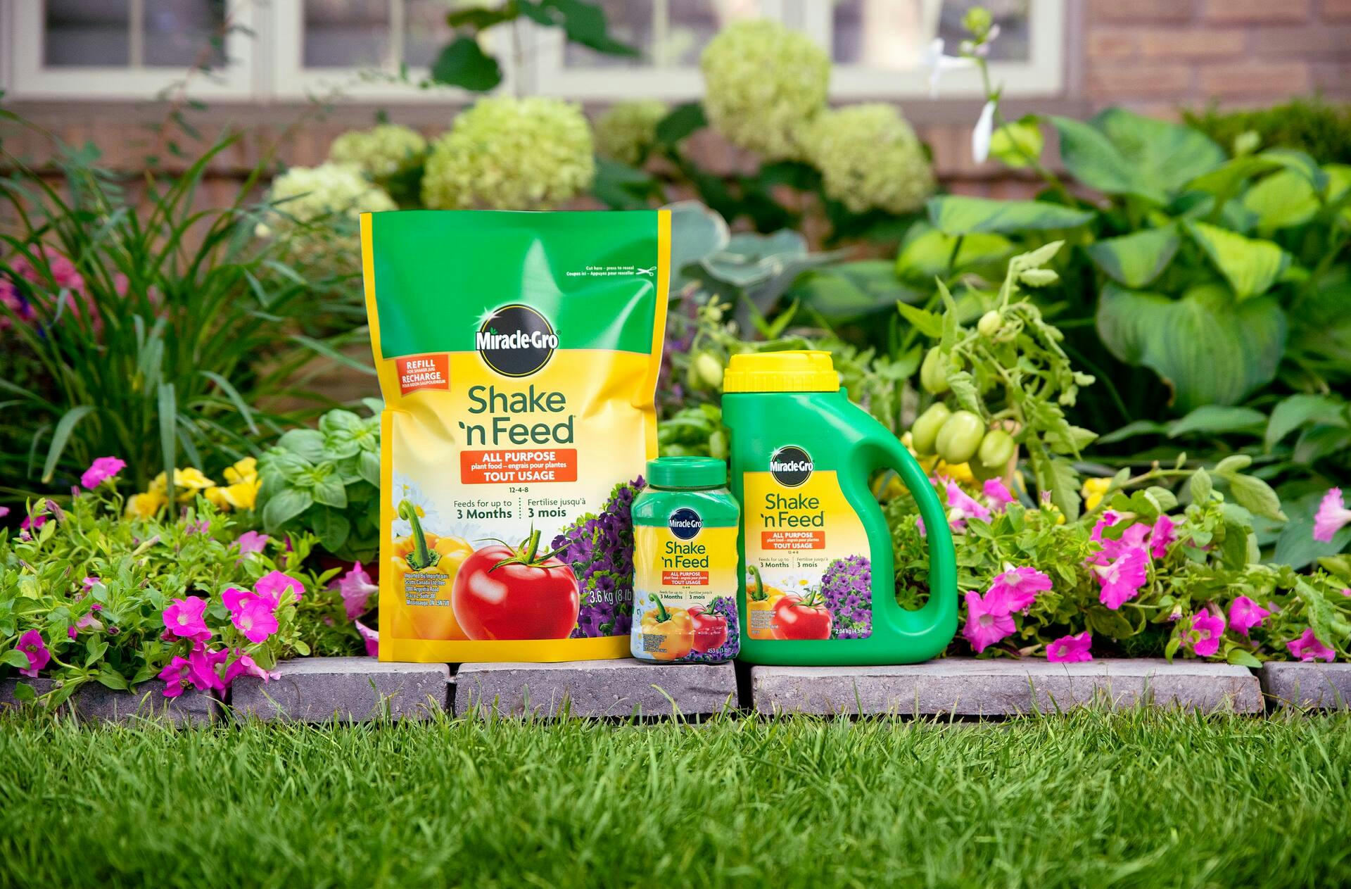 Miracle-Gro® Shake N Feed All Purpose Plant Food, 2-kg