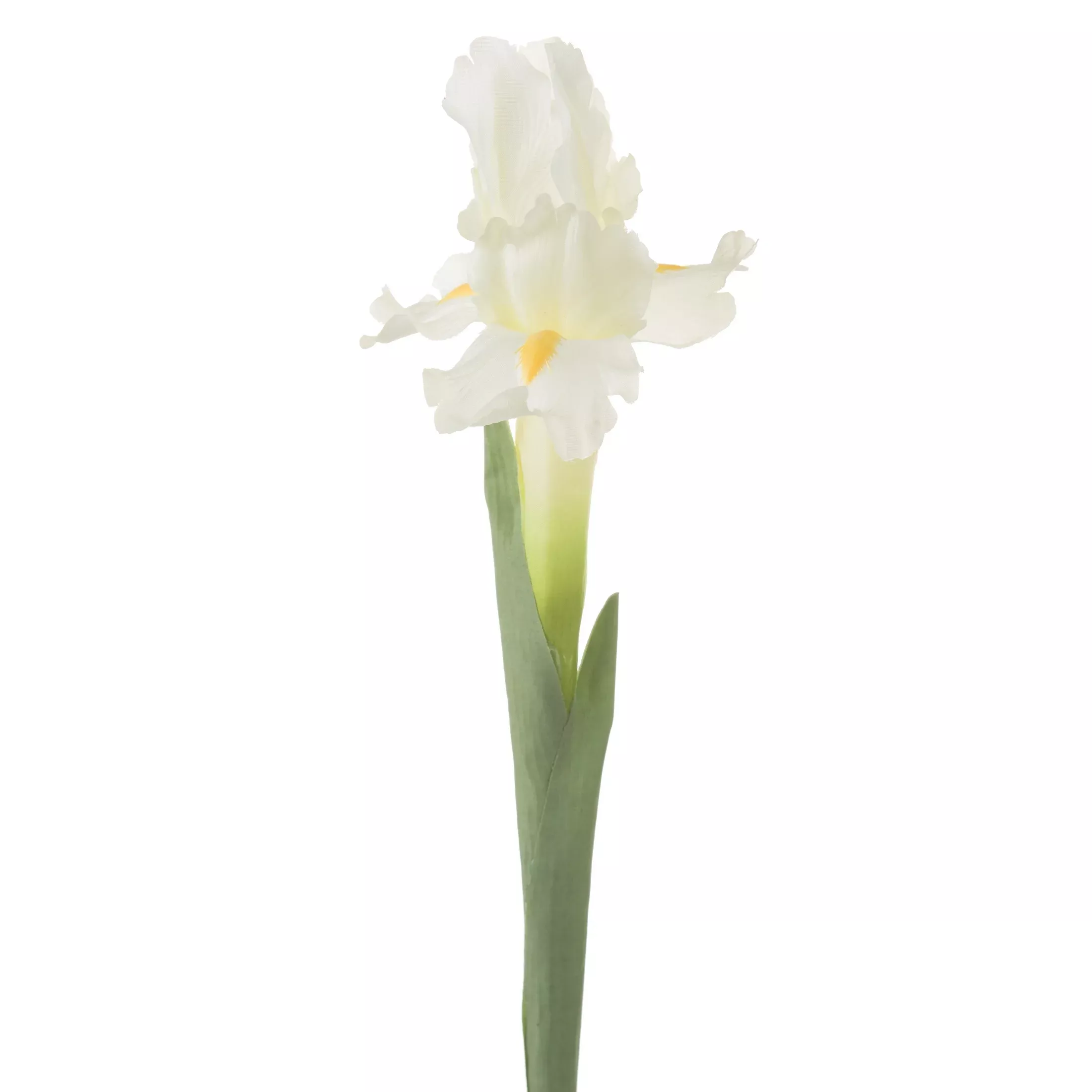 Kwiat sztuczny kremowy irys 70 cm