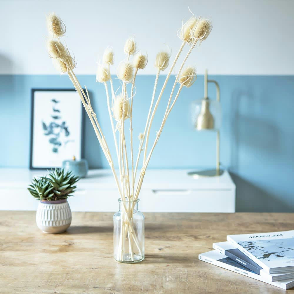 CHARDONS - Botte de fleurs séchées chardons secs