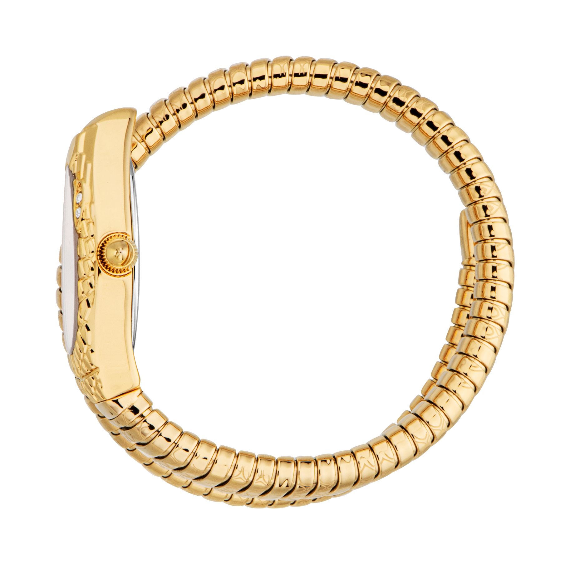 Just Cavalli Women's Snake 316L Stainless Steel Watch