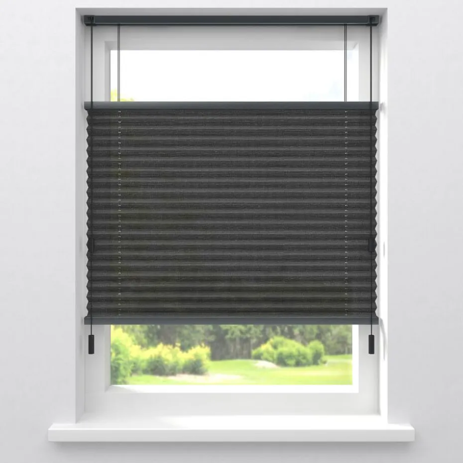 Kwantum Plisségordijnen | Fenstr Plissé Lina  Transparant Antraciet