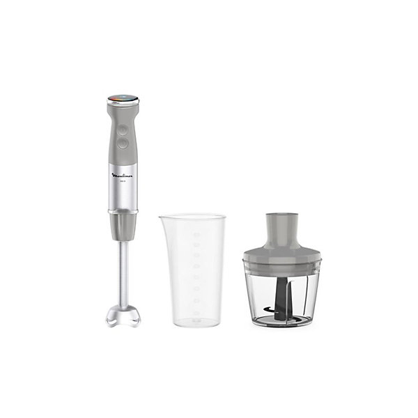 Mixeur plongeant 1000w gris Moulinex DD672B10