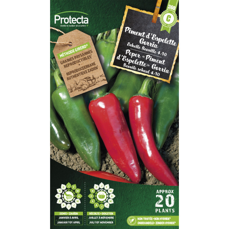 Semences de piment d'Espelette Gorria PROTECTA