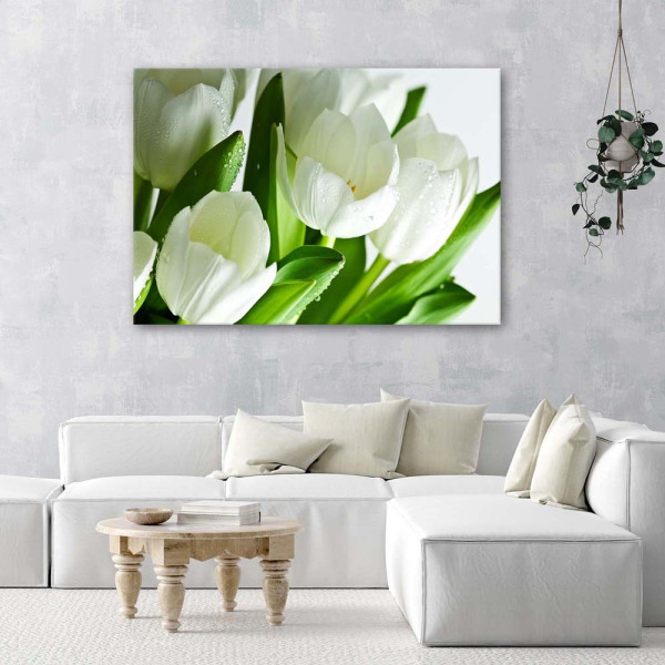 Feeby Obraz Białe tulipany 60x40