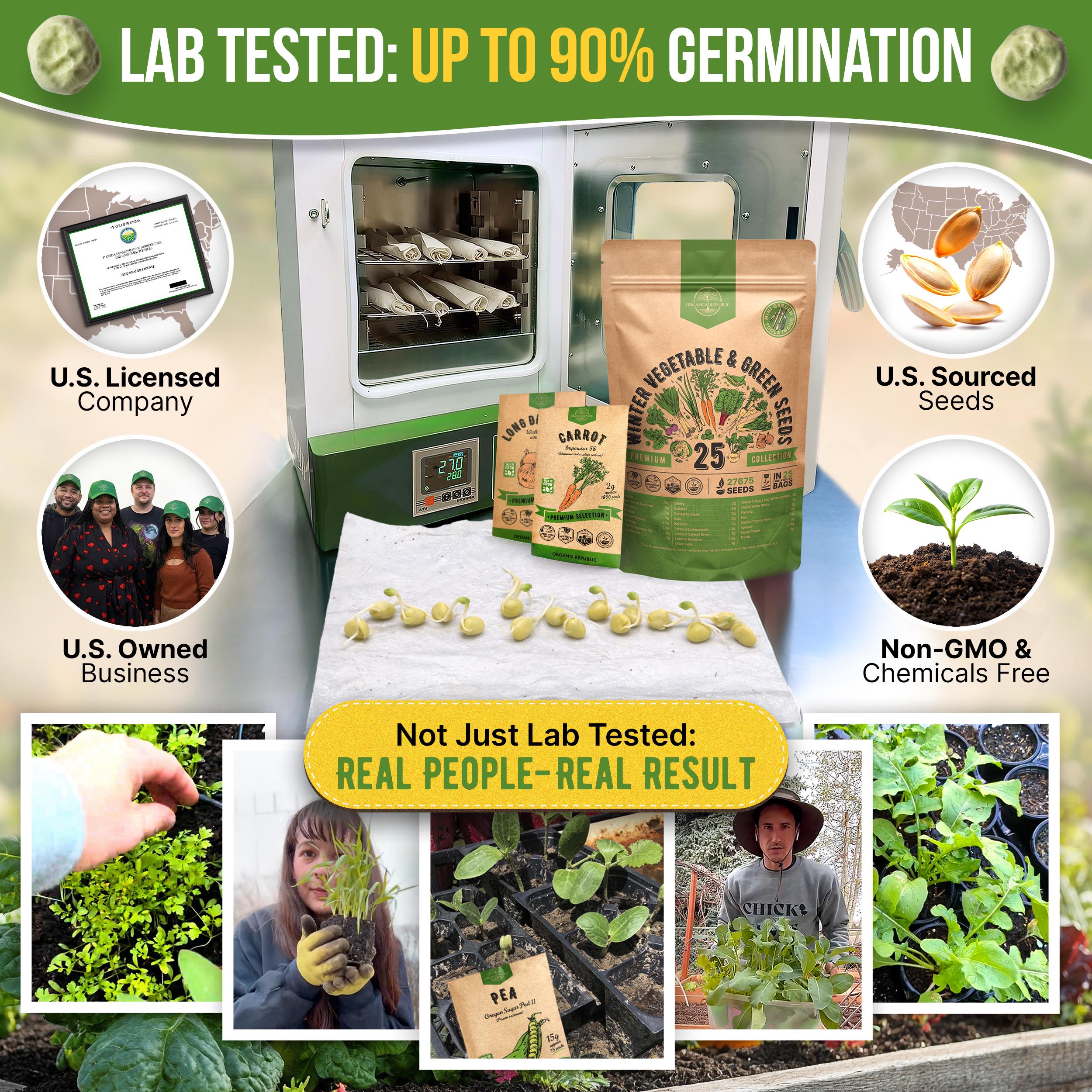 25 Winter Vegetable & Green Seeds Variety Pack for Outdoors and Indoor Home Gardening 27,600+ Non GMO Heirloom Seeds