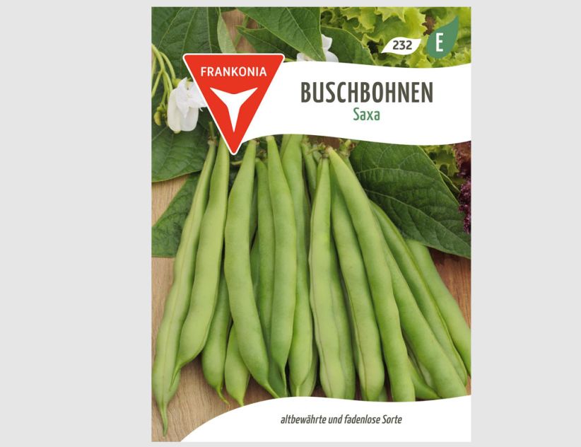 Buschbohnen Saxa
