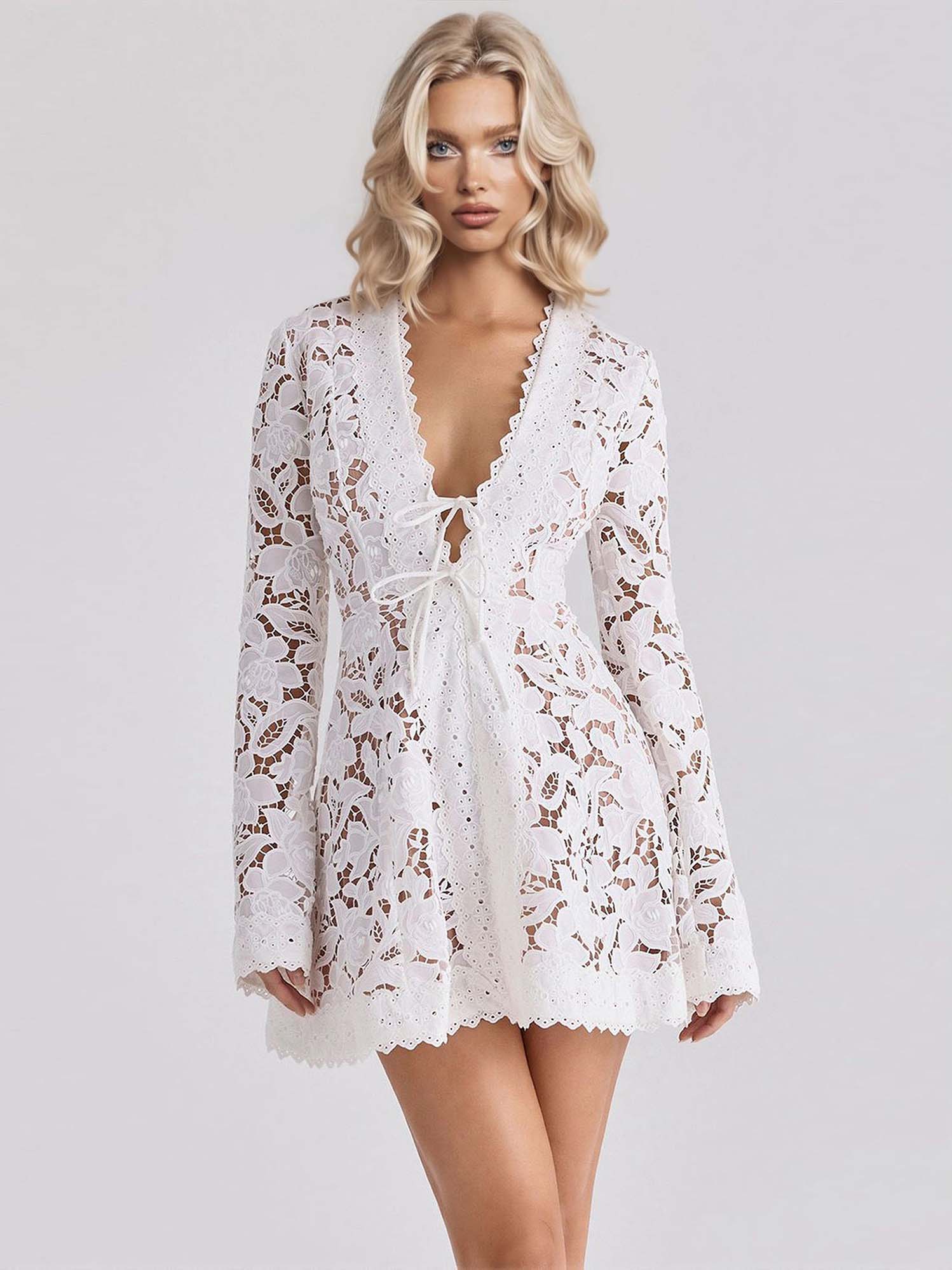 Exquisite Lace Deep V-Neck Mini Dress