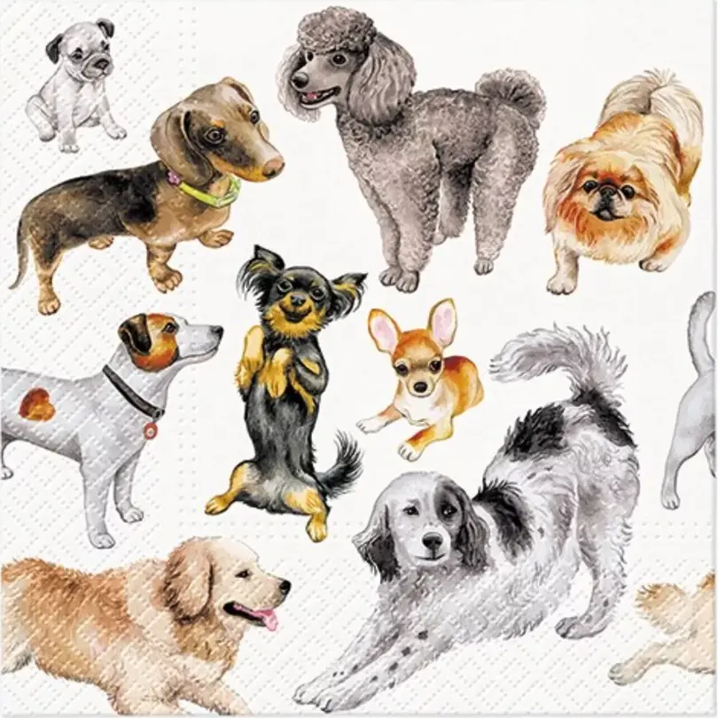 Serviette 20er-Set Dogs Happiness