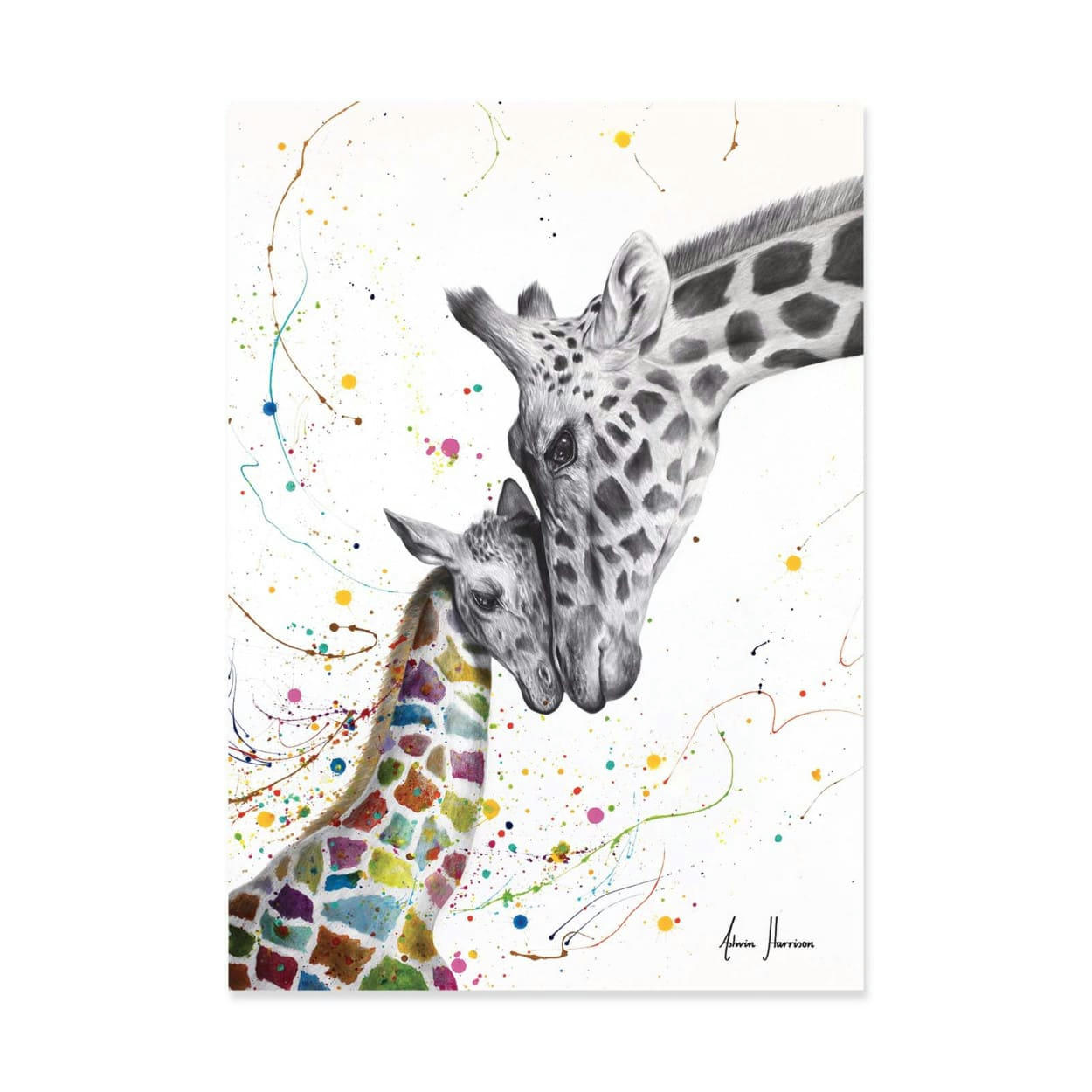 ASHVIN HARRISON - CELEBRATION OF LOVE - ASHVIN HARRISON - Affiche d'art 50 x 70 cm