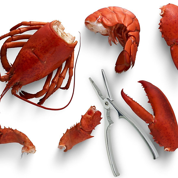 Ensemble de 2 Pinces à crustacés et à Homard 17 cm Fackelmann