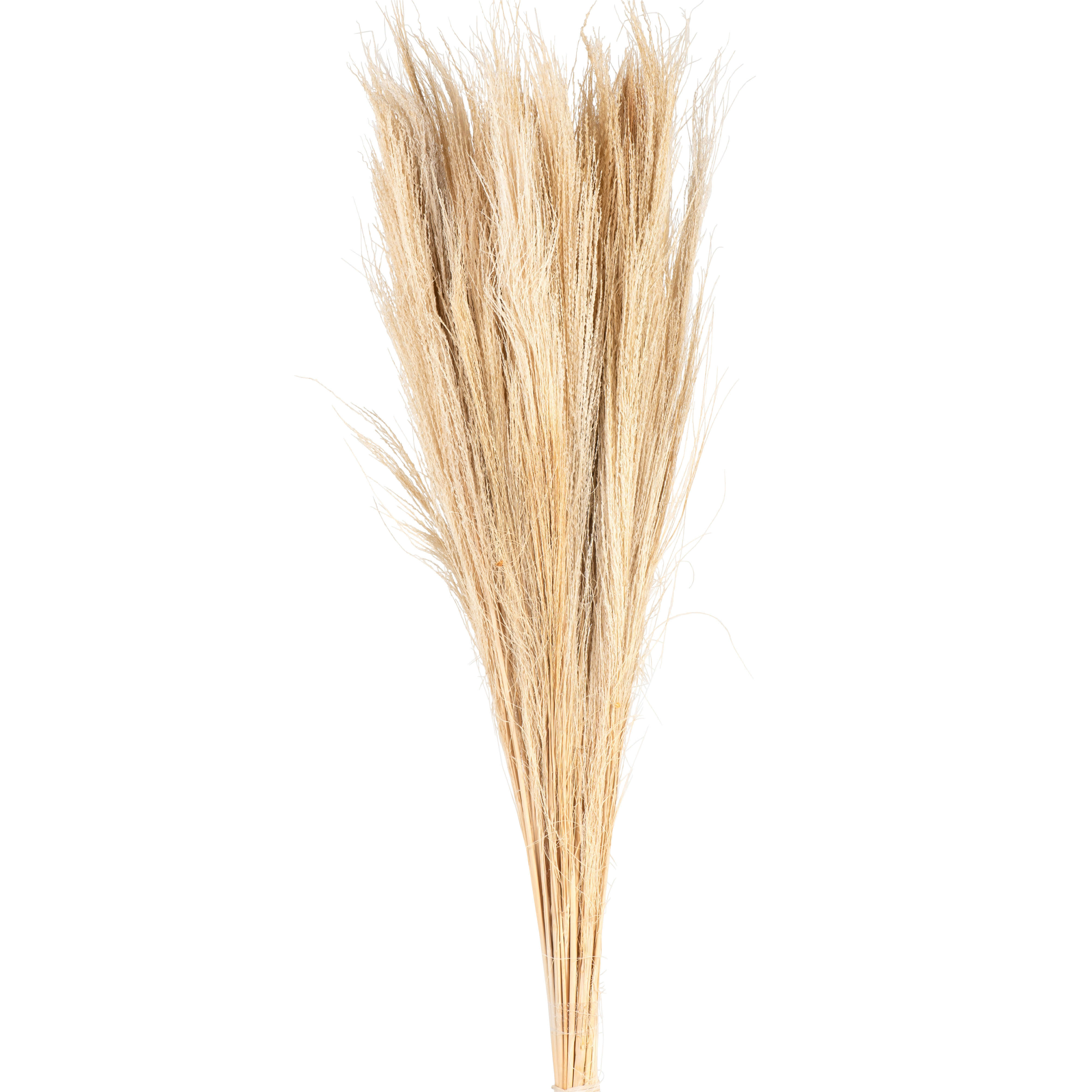 VELI - Bouquet de fleurs séchées marron