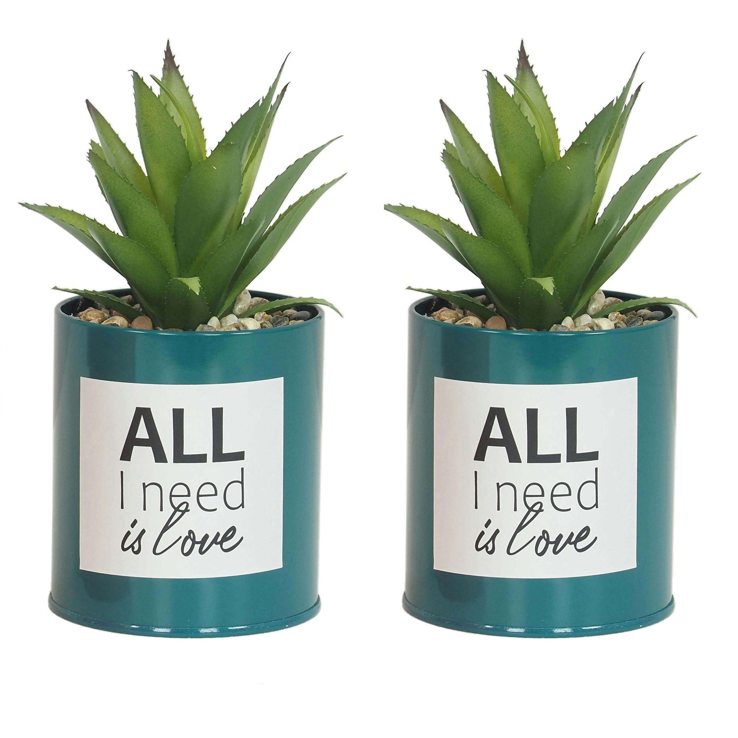 - Succulente artificielle en pot 17cm lot de 2