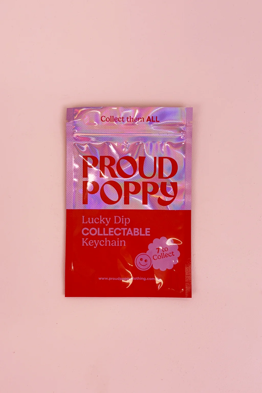 Lucky Dip Collectable Keychain - Series 1