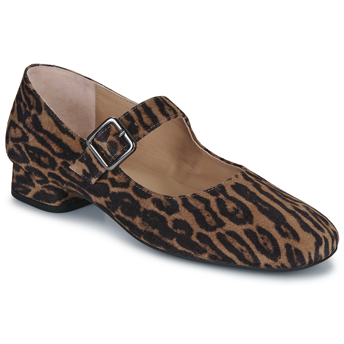 Unisa - CULVER - Leopard