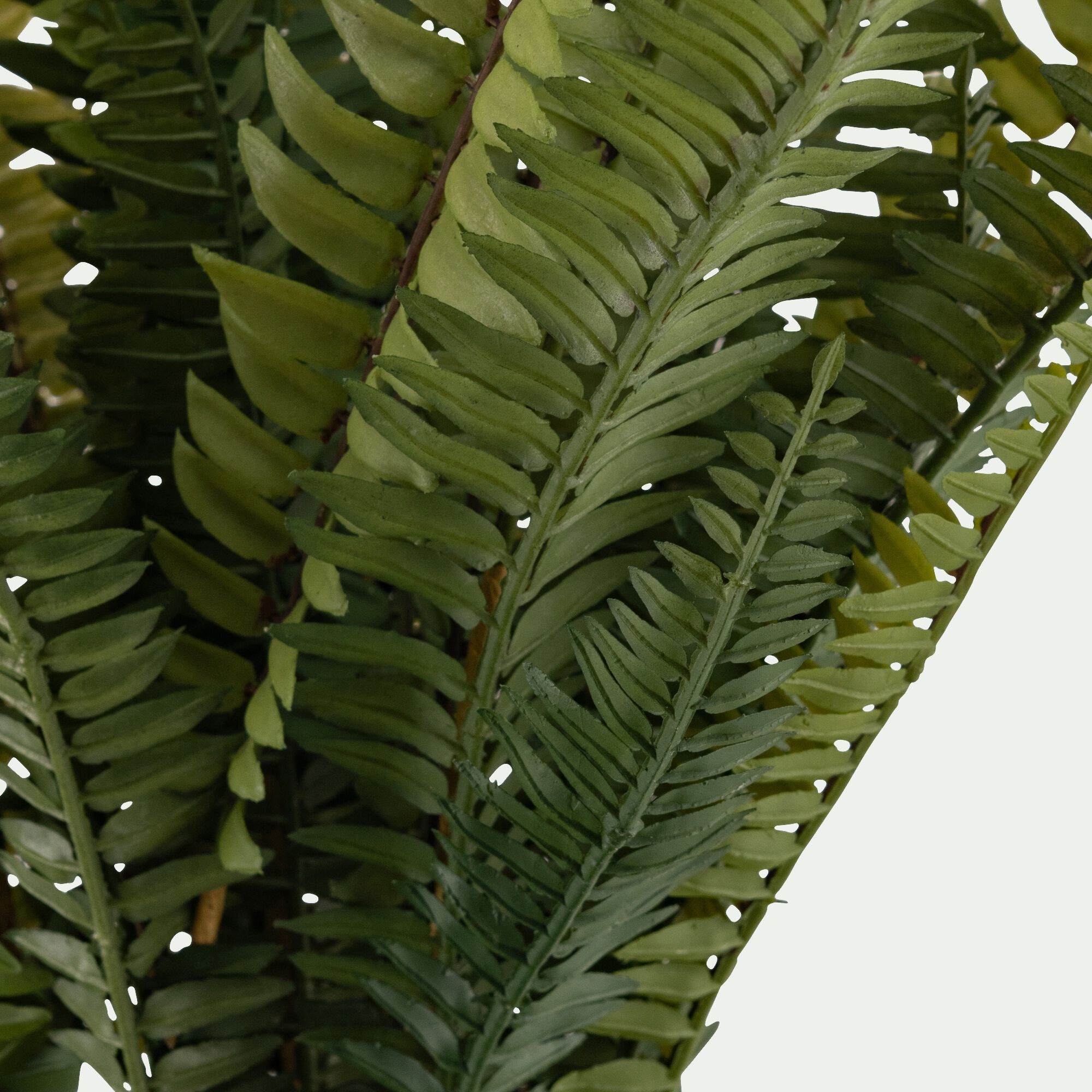 BERILLO - Fougère artificielle H55cm - vert