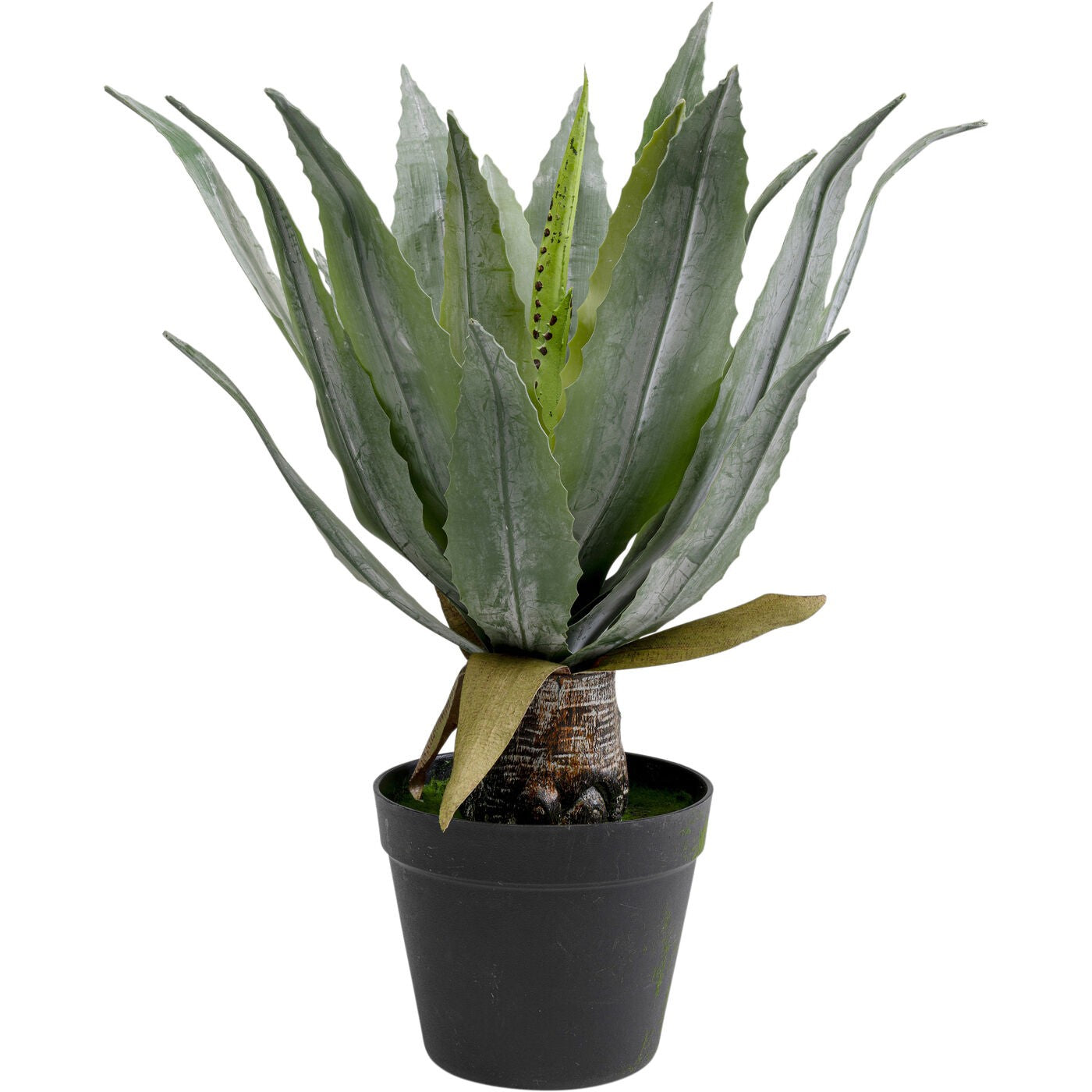 Kunstplanten agave 40cm Kare Design