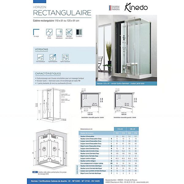 Cabine de douche hydromassante KINEDO HORIZON 110x100 hauteur receveur 17,5cm 1 porte pivotante finition acier