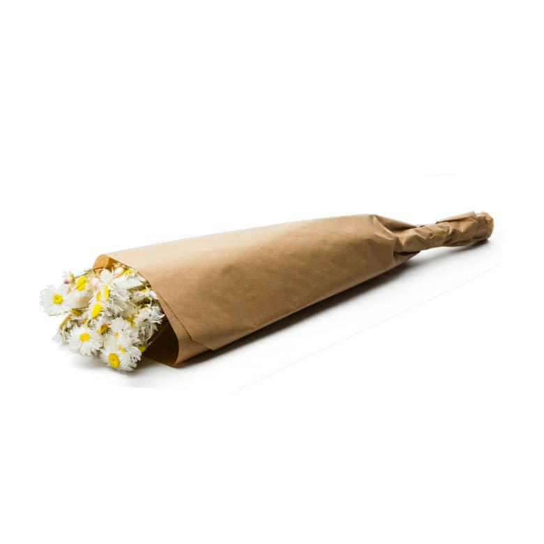 BFS - Botte Acroclinium Natural White