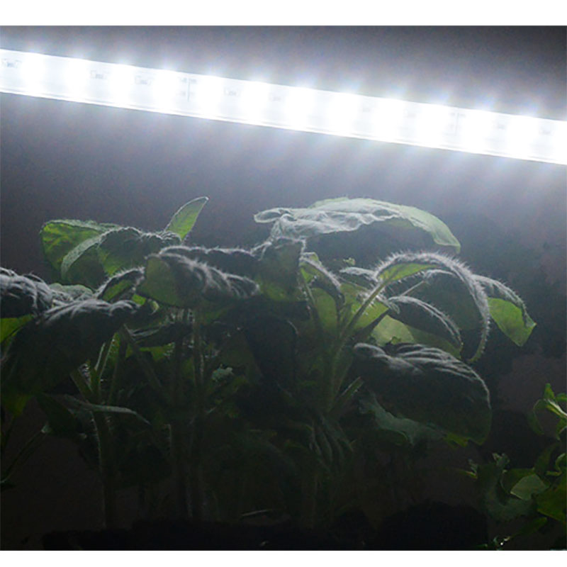 Växtbelysning LED No.1 60 cm 15W med adapter
