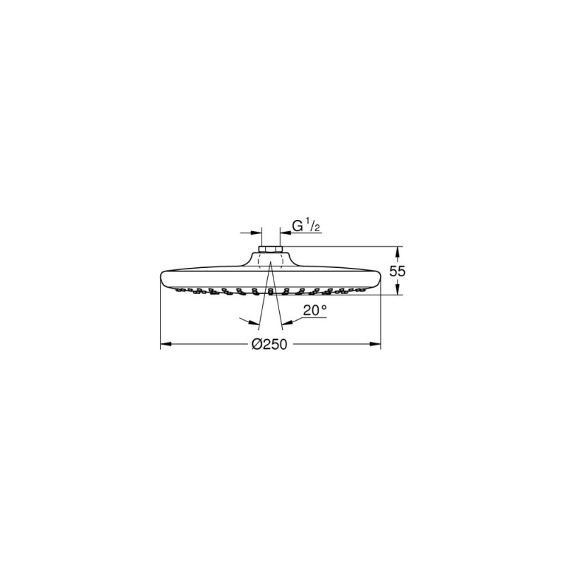 Tête de douche Vitalio Start 250 1 jet chrome GROHE