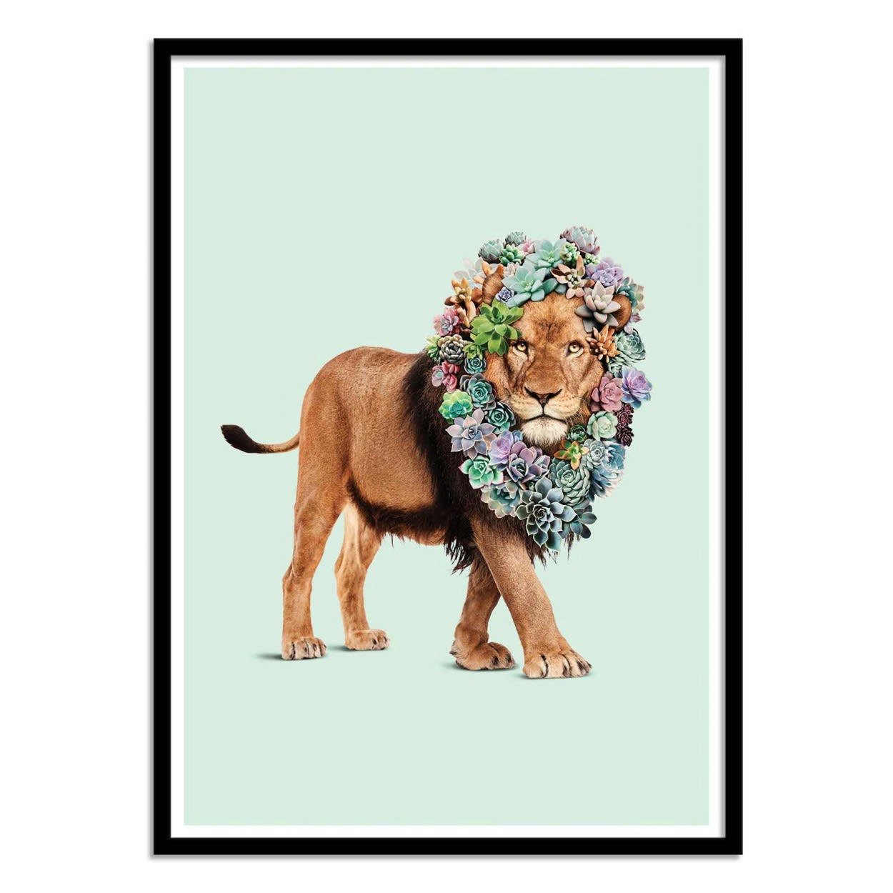 JONAS LOOSE - SUCCULENT LION - Affiche d'art 30 x 40 cm