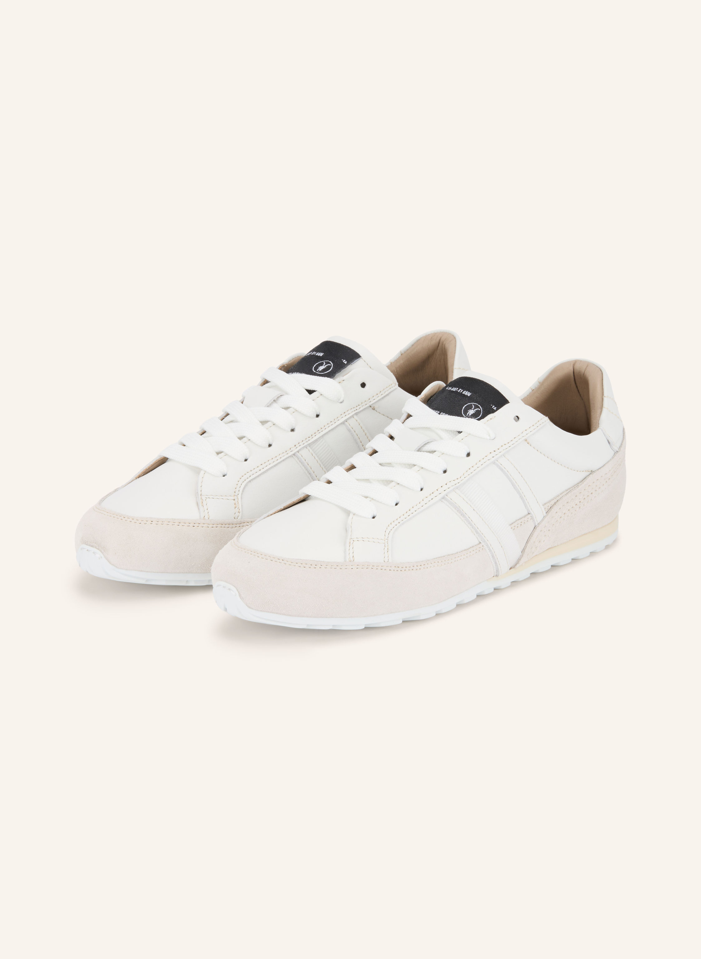 ALLSAINTS Sneaker LIAM