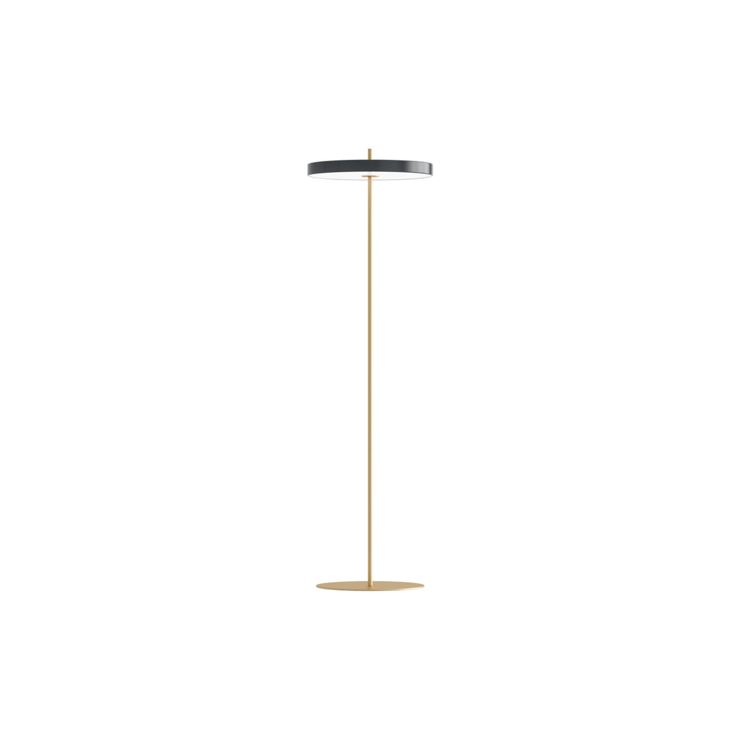 Asteria Floor Lamp, anthracite grey