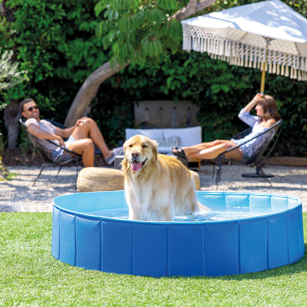 Piscine pliable pour animaux