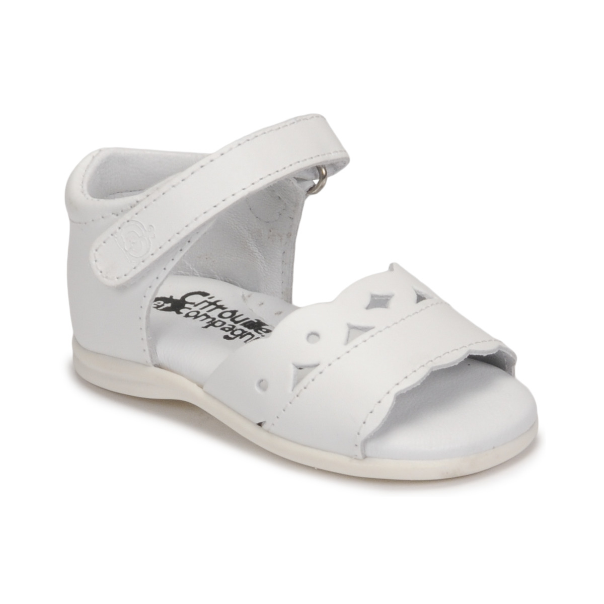 Citrouille et Compagnie - NEW 21 - White