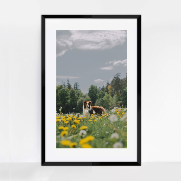 Czarna ramka na zdjęcia 61x91,5 cm duża rama prostokątna FRAMAI®