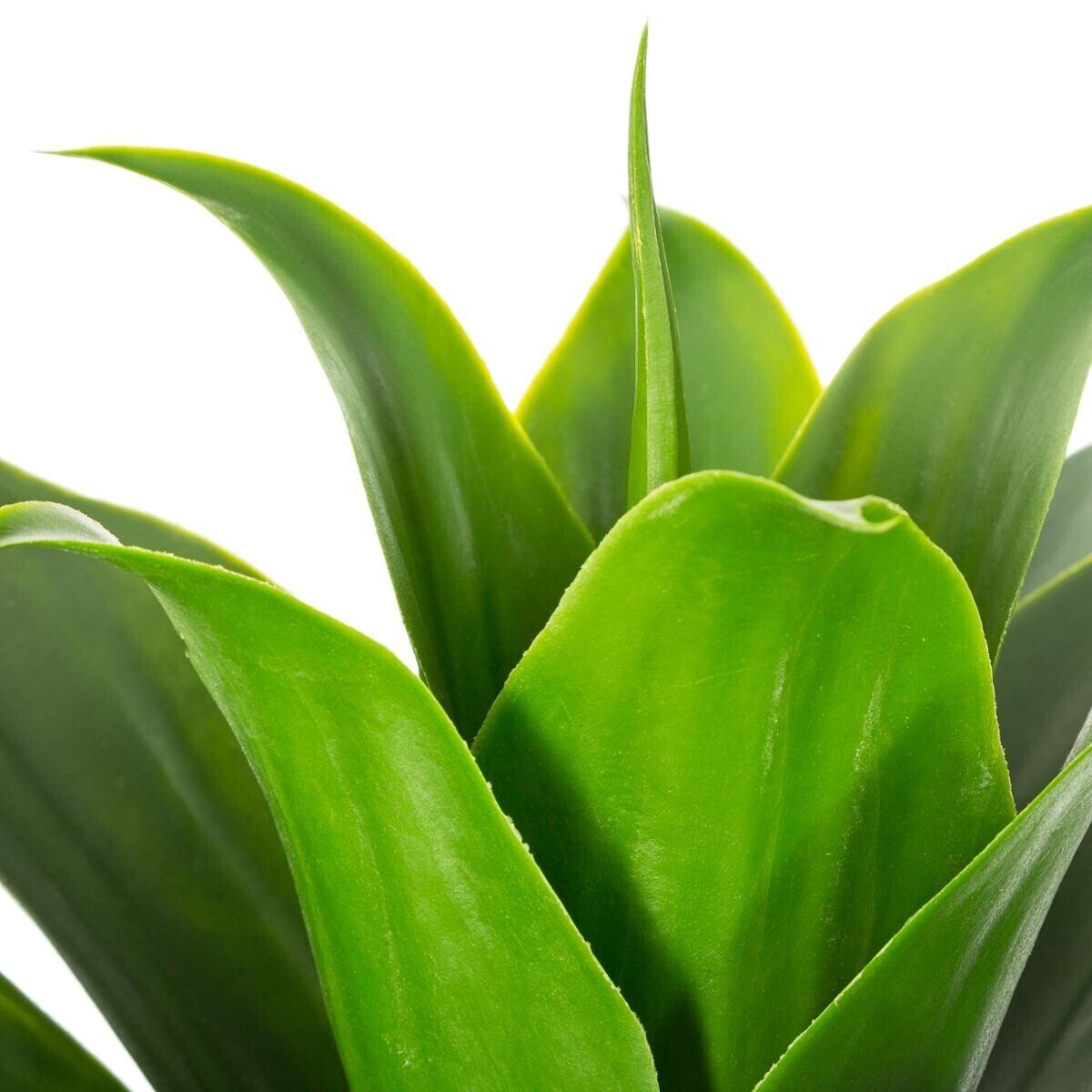 Artificial aloe vera H.34 cm