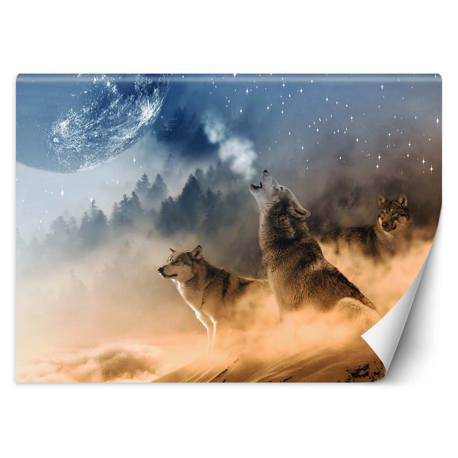 Feeby Fototapeta, Wilki las we mgle 150x105