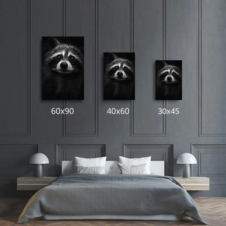 REGARD RATON - Photographie d'art de Guillaume Mordacq 30x45 cm sur alu