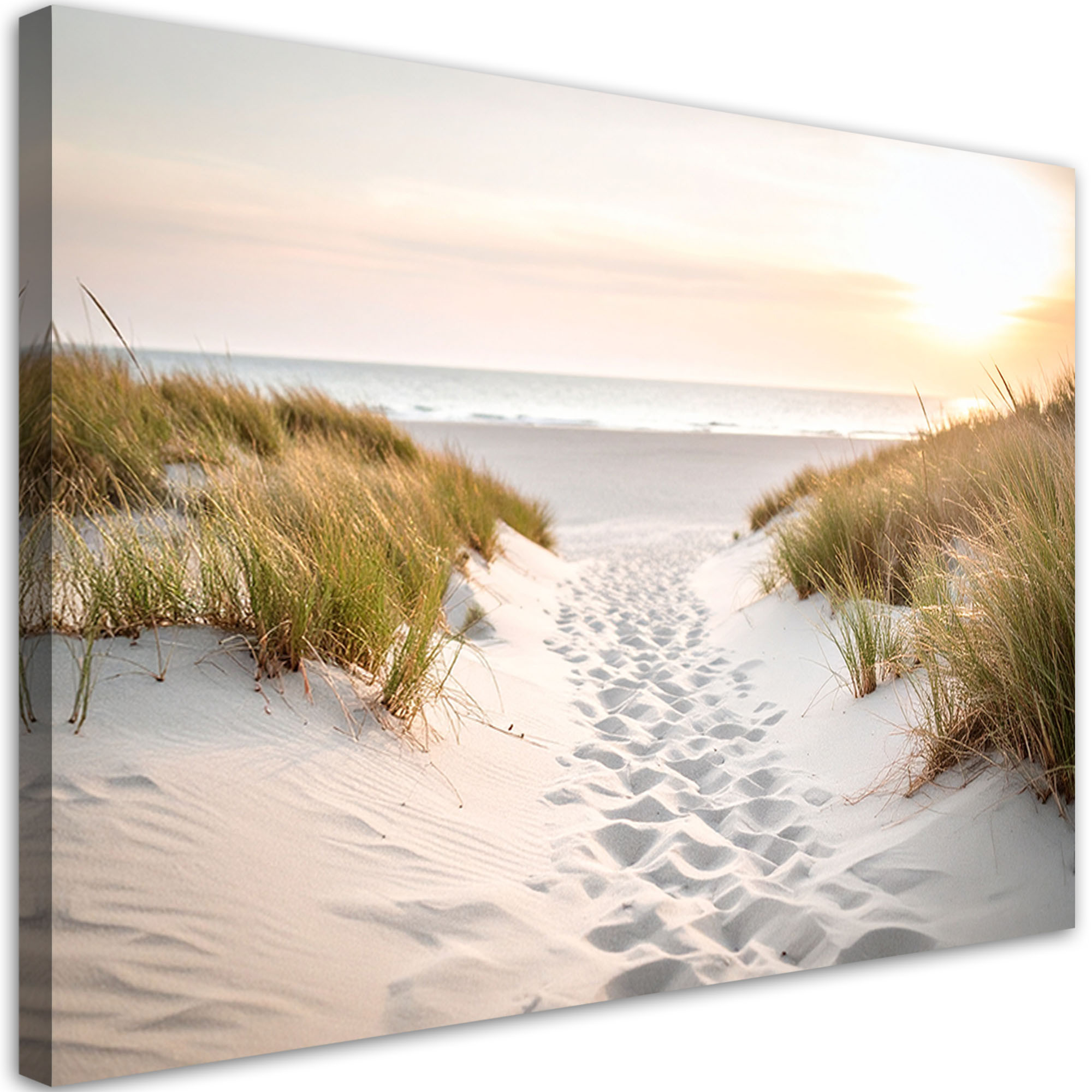 Obraz do salonu nowoczesny, Ścieżka na plażę piasek morze rośliny 30x20