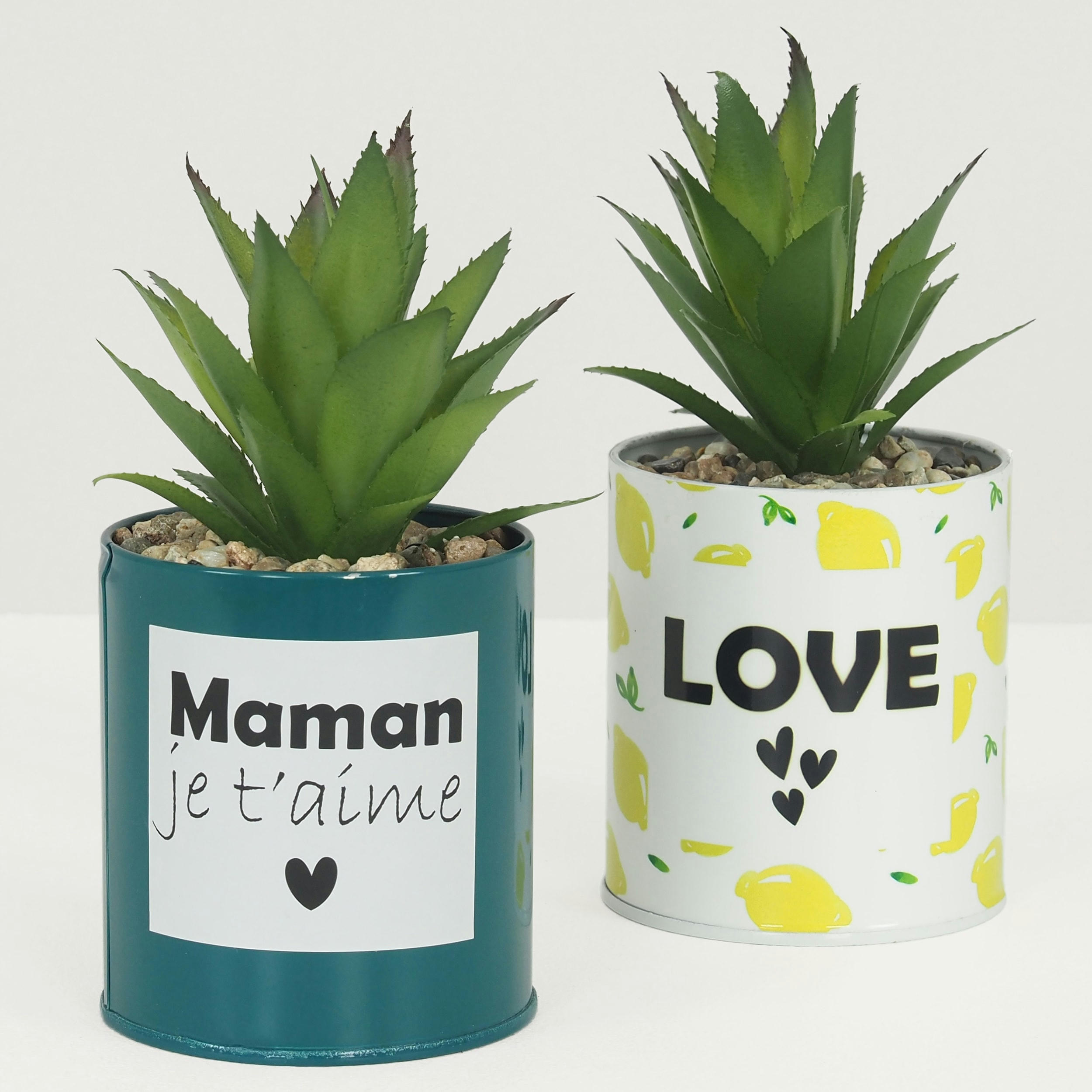 - Succulente artificielle en pot 17cm lot de 2