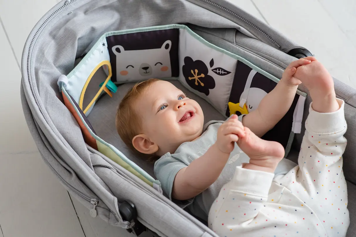 Kinderbuch Taf Toys