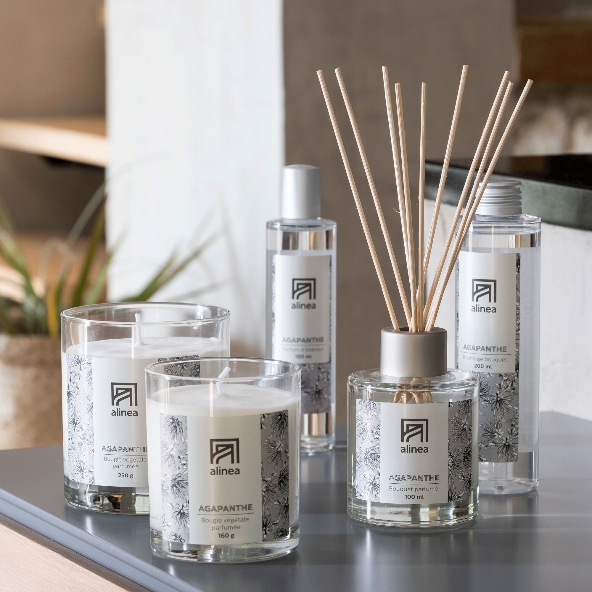 SIGNATURE - Recharge pour diffuseur Agapanthe 200ml