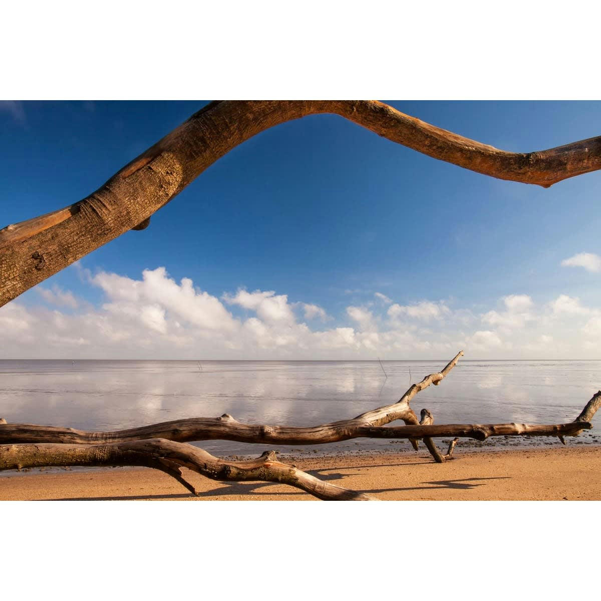 PLAGE - Tableau sur verre synthétique plage de Awala 80x120 cm