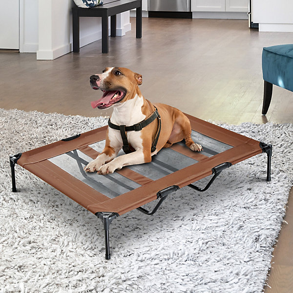 Lit sur pieds XXL pour chien chat lit de camp animal lit surélevé Oxford textilène micro-perforé L.122xl.92xH.23cm marron