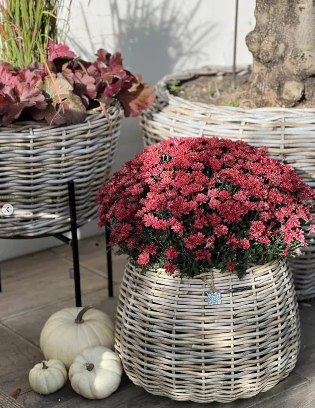 Gartentopf Drypot Tina