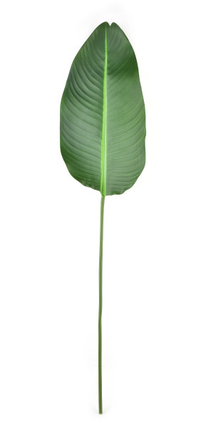 Kwiat sztuczny 100x2,5cm VIRIDIIS