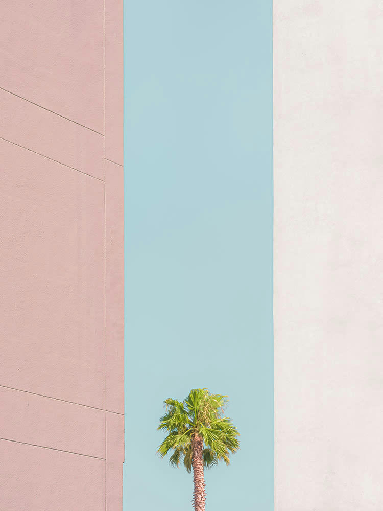 NATURE URBAINE - Photographie d'art de Laura Sanchez 45x60 cm sur plexi