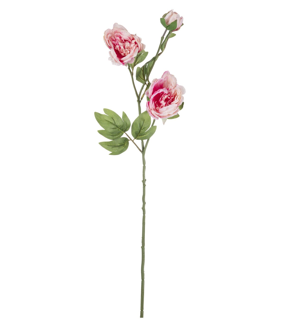 27 Light Pink Peony Stem by Bloom Room