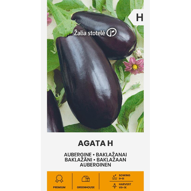 Aubergin 'Agata' F1