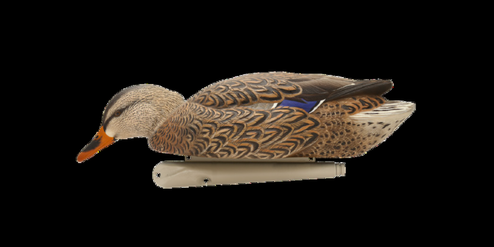 Avian-X Top Flight Early Season Hunting Mallard Decoys, 6-pc