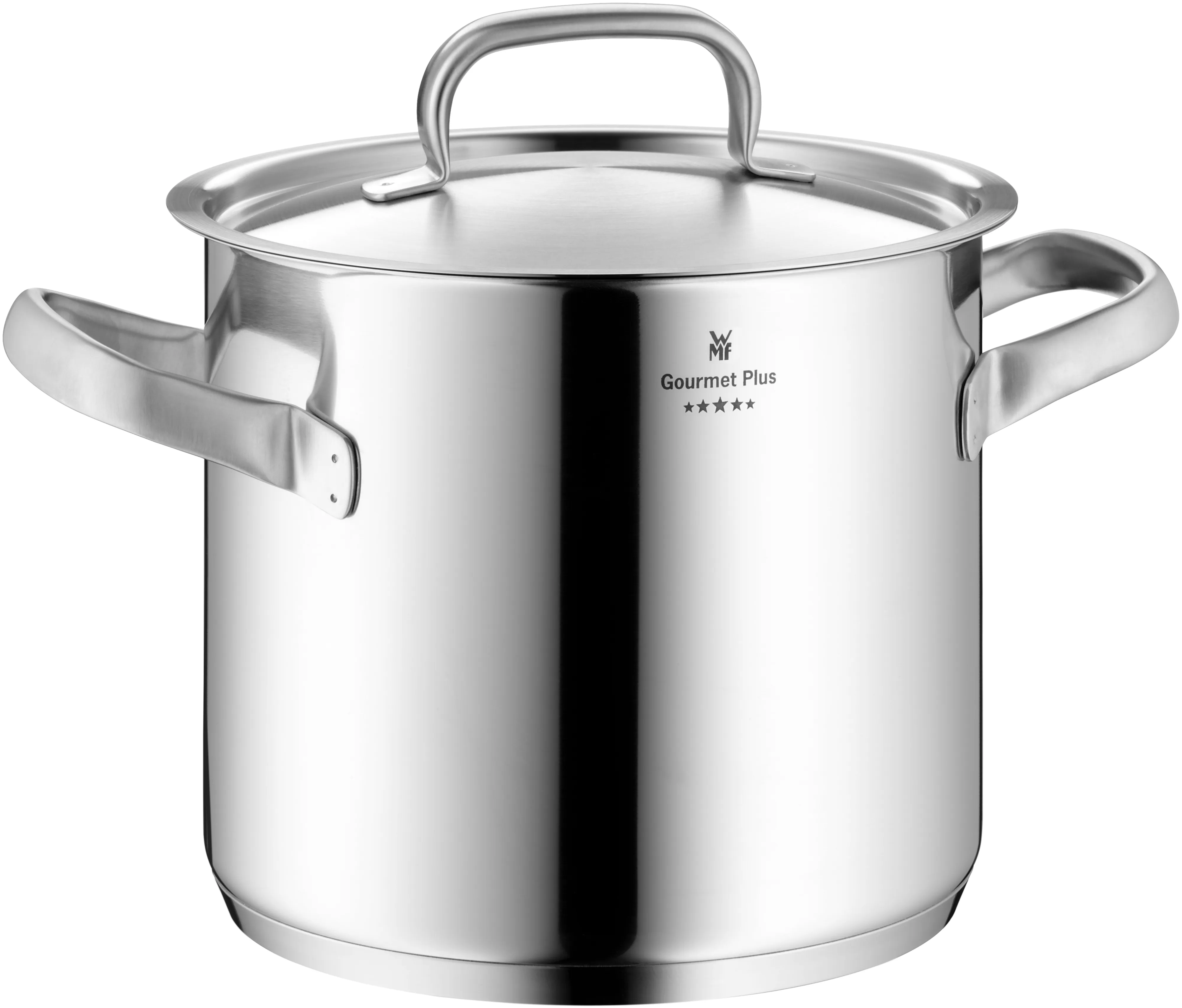 WMF Gourmet Plus Stockpot 24 cm with lid